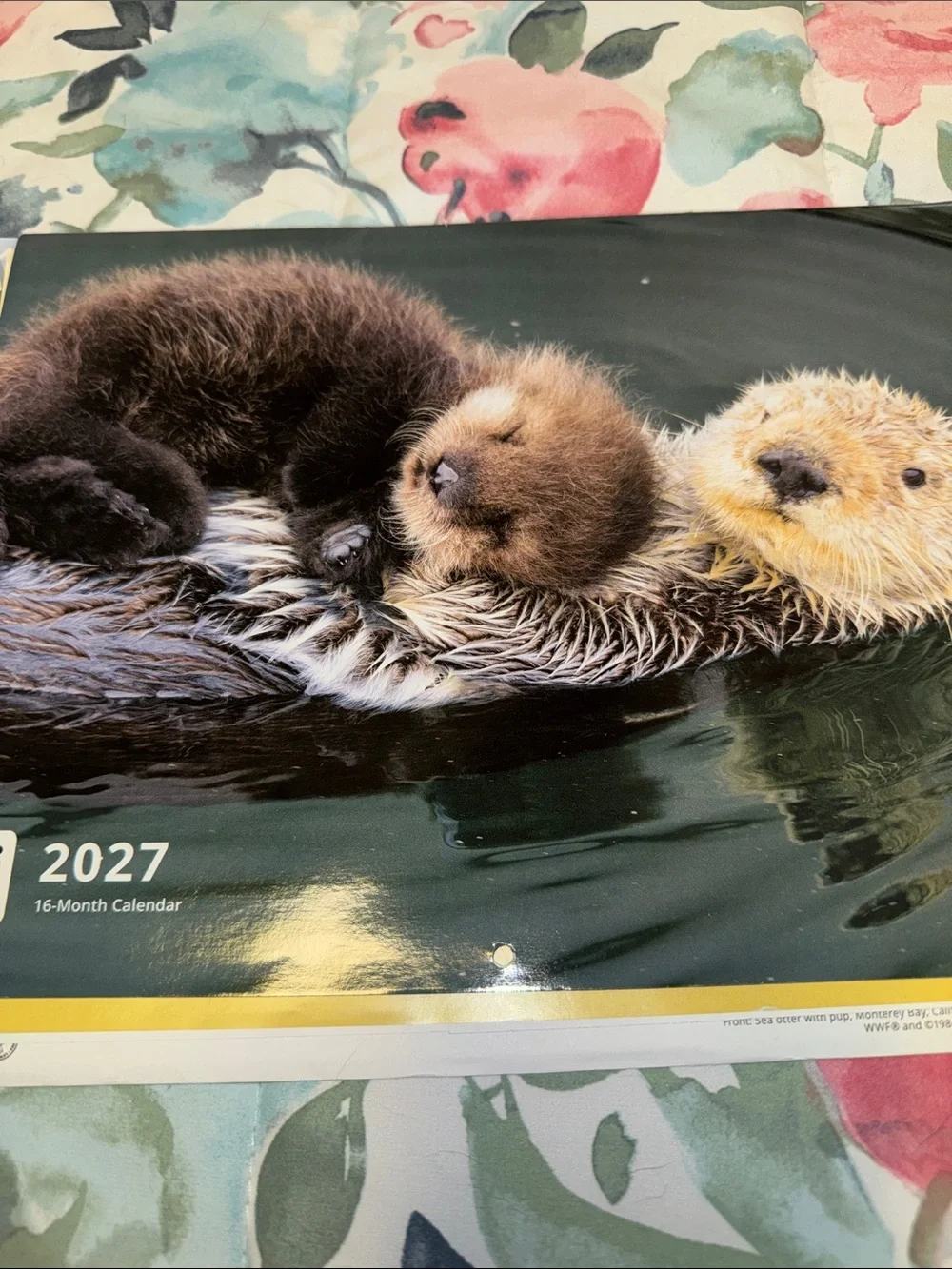 16 month Calendar.  2027